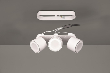 TRIO Ein-/Aufbauspot TAURUS ws 652910331 