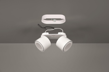 TRIO Ein-/Aufbauspot TAURUS ws 652910231 