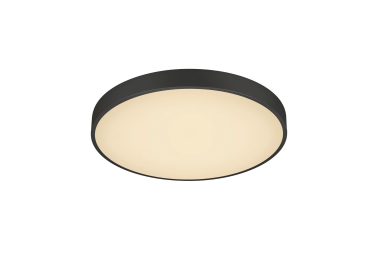 TRIO Deckenleuchte WACO 495mm  627415032 