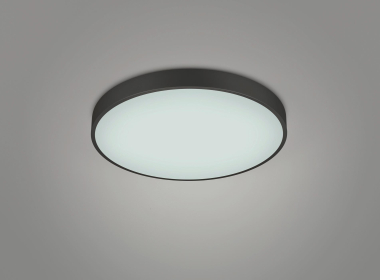 TRIO Deckenleuchte WACO 495mm  627415032 