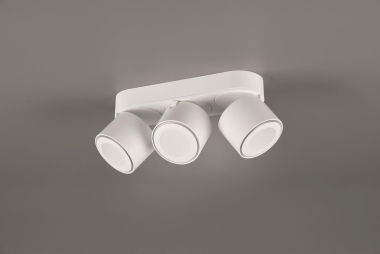 TRIO Ein-/Aufbauspot TAURUS ws 652910331 