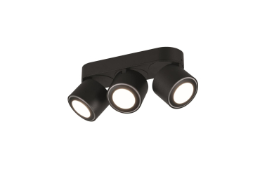 TRIO Ein-/Aufbauspot TAURUS sw 652910332 