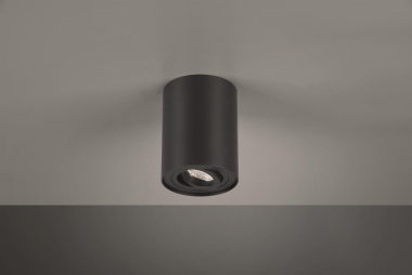 TRIO 612900132 Deckenleuchte COOKIE sw 