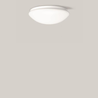 BEGA E-Decken-/Wandleuchte      12136PK3 