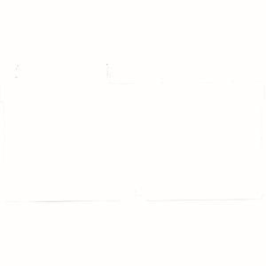 EATON IN63H3-63F-1                303683 