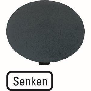 EATON M22-XDP-S-D18 Tastenplatte  218280 