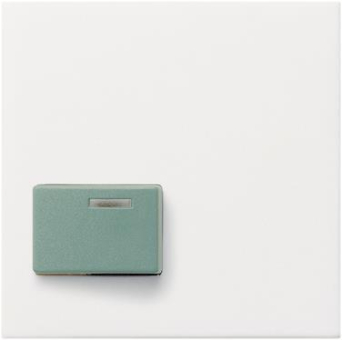 GIRA 024627 Abdeckung Ackermann 73642C 