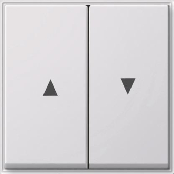 GIRA 029466 Wippe 2fach Pfeil TX_44 