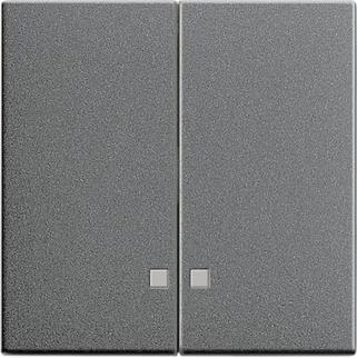 GIRA 063128 Wippe 2fach Kontrollfenster 