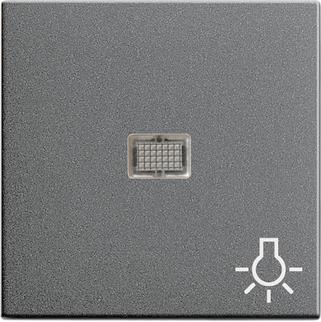 GIRA 063028 Wippe Kontrollfenster groß+ 