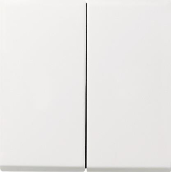 GIRA 0295112 Wippe 2fach Flächenschalter 