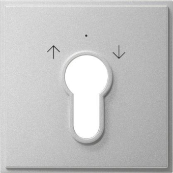 GIRA 066465 Abdeckung Schlüsselschalter 