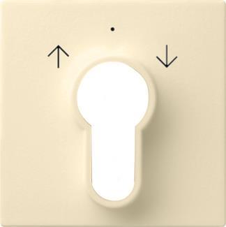 GIRA 066401 Abdeckung Schlüsselschalter 