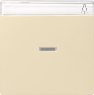 GIRA 067001 Wippe Kontrollfenster+BSF 