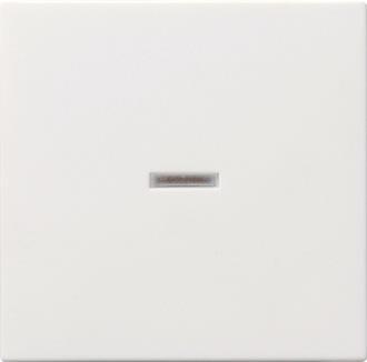 GIRA 029003 Wippe Kontrollfenster 