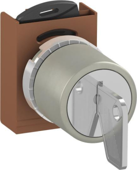 ABB Schlüsselschalter         P9MSCI0C95 