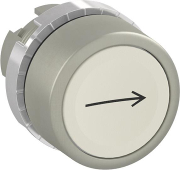 ABB Druckt.flach ws "->"      P9MPNBG006 