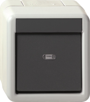 GIRA 010230 Wippschalter Aus 2-polig 