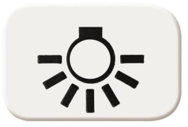 BJ Reflex SI Symbol Licht     2525LI-214 