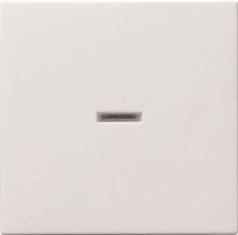 GIRA 029027 Wippe Kontrollfenster 