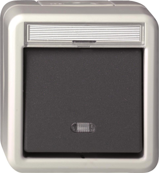 GIRA 015631 Wipptaster Wechsler BSF 