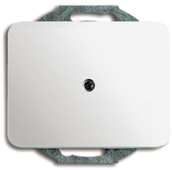 BJ alpha nea Abdeckung für Lei- 1749-24G 