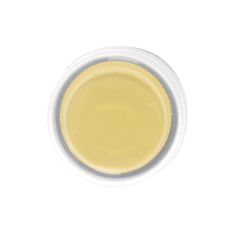 Schneider Frontelement rund       ZB5AP5 