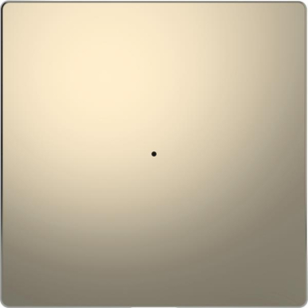 Merten Wippe f.Taster-Modul MEG5210-6050 