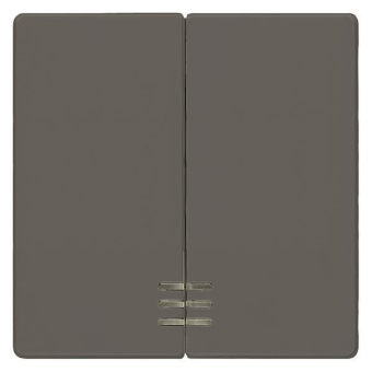 SIEM Wippe 2-fach mit Fenster    5TG6224 