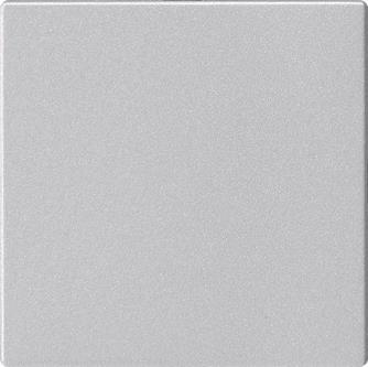 GIRA 810826 Blindabdeckung o.Tragring 