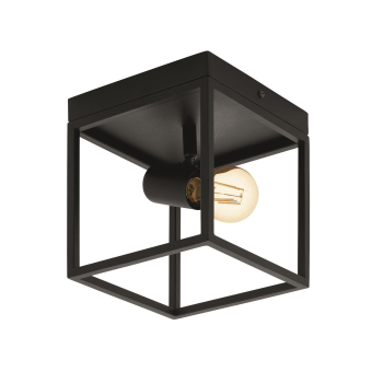 EGLO Wand und Deckenleuchte        98331 