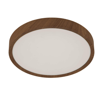 EGLO Wand und Deckenleuchte        98601 