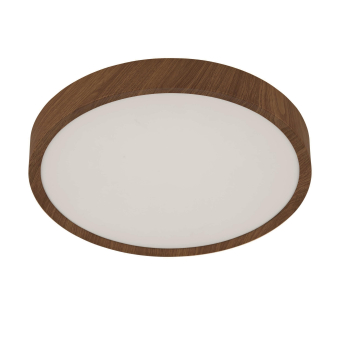 EGLO Wand und Deckenleuchte        98602 