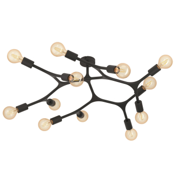 EGLO Wand und Deckenleuchte        98319 