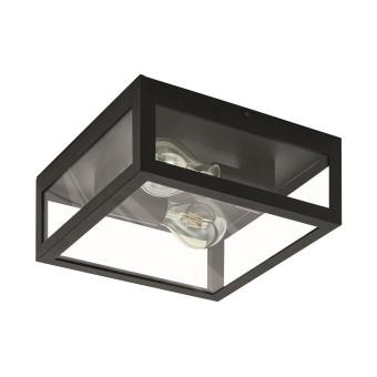 EGLO Wand und Deckenleuchte        99122 
