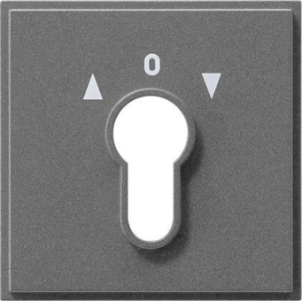 GIRA 066467 Abdeckung Schlüsselschalter 