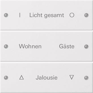 GIRA 220303 Wippenset 3fach beschreibbar 