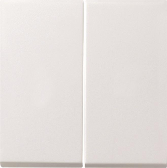 GIRA 0915112 Wippe 2fach Tastschalter 