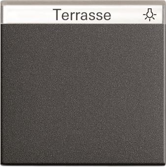 GIRA 029928 Wippe Beschriftungsfeld 