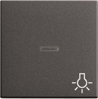 GIRA 067428 Wippe Kontrollfenster+Symbol 