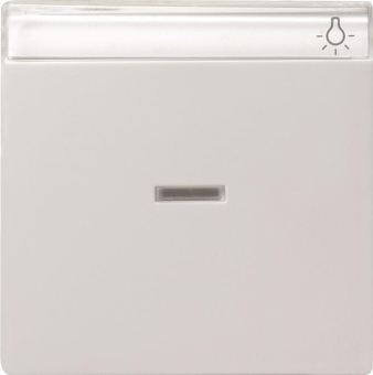 GIRA 067003 Wippe Kontrollfenster+BSF 