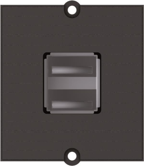 Bachmann Rahmen 2xUSBA           917.141 