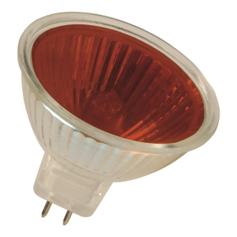 BAIL Bailey BaiColour EXN   HC501205038R 