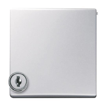 BJ Zwischenring m.Klapp-    2118 GKSL-33 