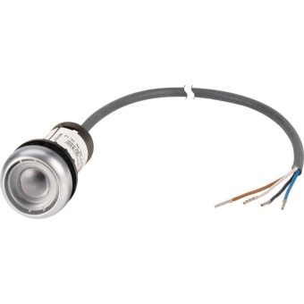 EATON C22-DR-X-K02-P65 Drucktaste 185630 