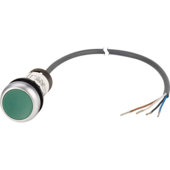 EATON C22-D-G-K10-P65 Drucktaste  185616 
