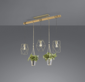 TRIO Pendelleuchte PLANT,3x    301000367 