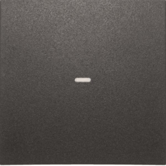 Berker Wippe 1fach mit klarer   80960285 