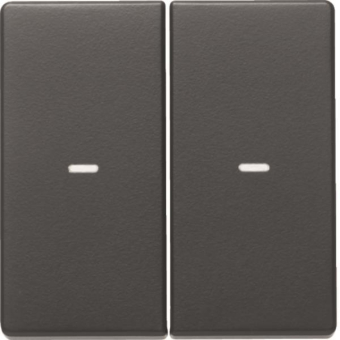 Berker Wippe 2fach mit klarer   80960326 