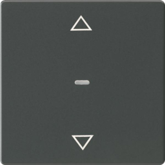 Berker Abdeckung f.Tastsensor   80961226 